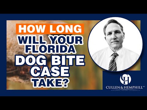 How Long Will My Florida Dog Bite Case Take?