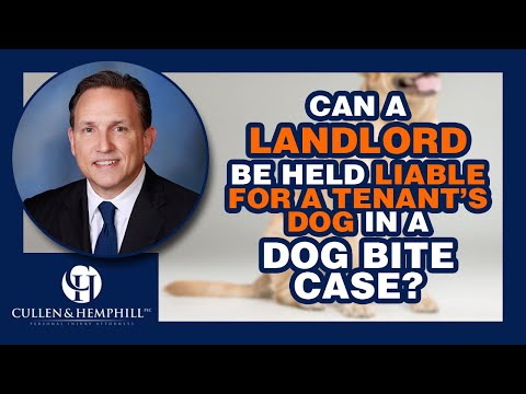 Can a Landlord be Held Liable for a Tenant’s Dog in a Florida Dog Bite Case?